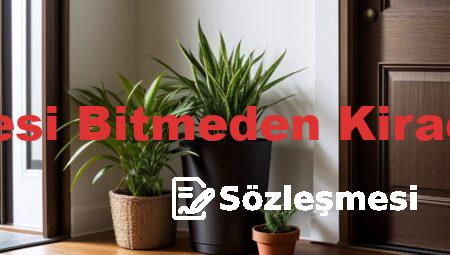 1 Yıllık Kira Sözleşmesi Bitmeden Kiracı Evden Çıkabilir Mi?