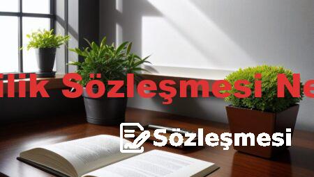 Evlilik Sözleşmesi Nedir