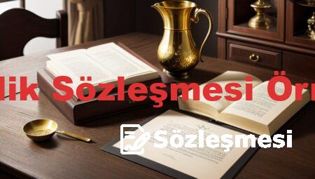Evlilik Sözleşmesi Örneği