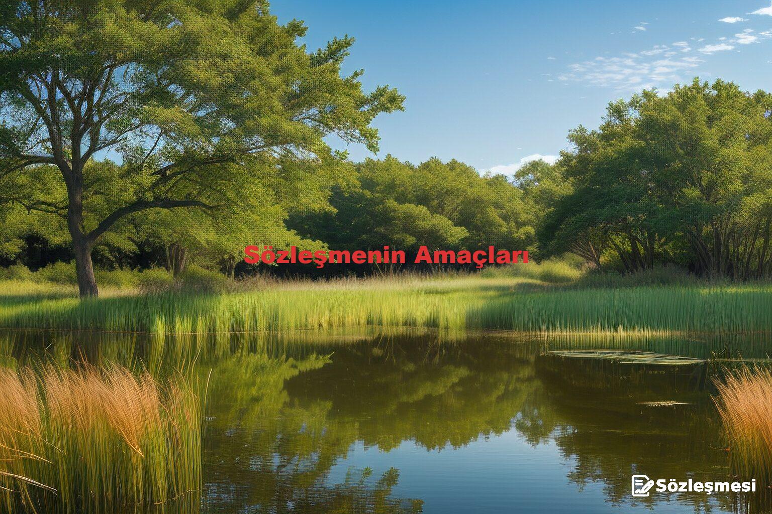 Sözleşmenin Amaçları