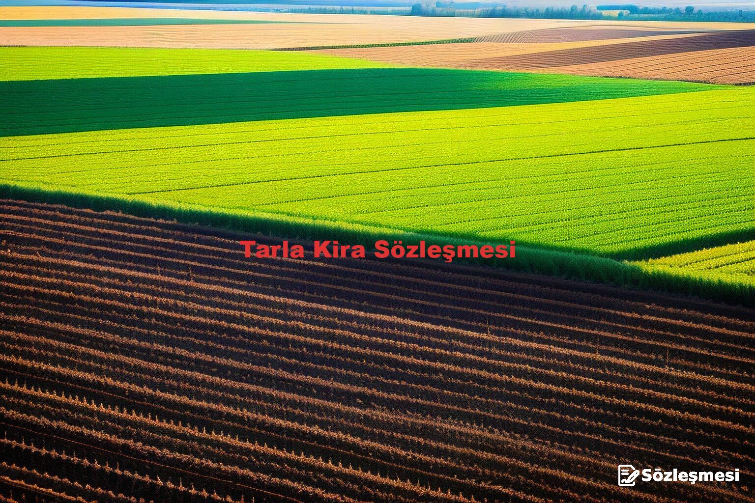 Tarla Kira Sözleşmesi