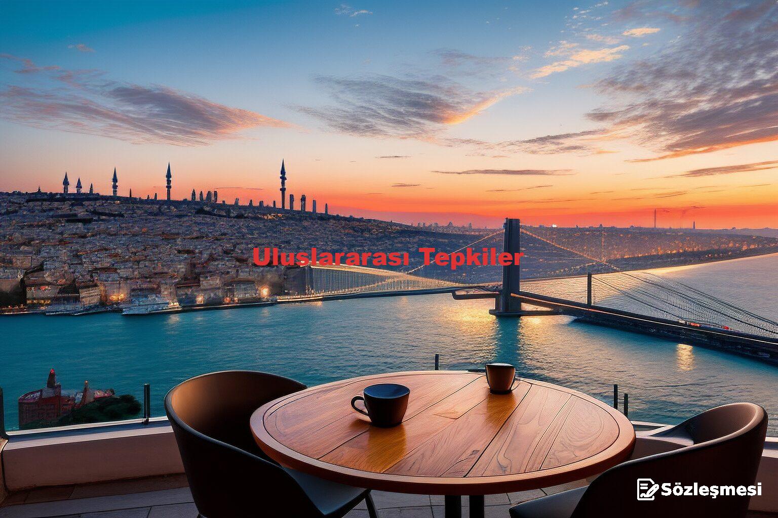 Uluslararası Tepkiler