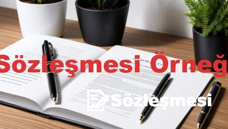 Kira Sözleşmesi Örneği PDF