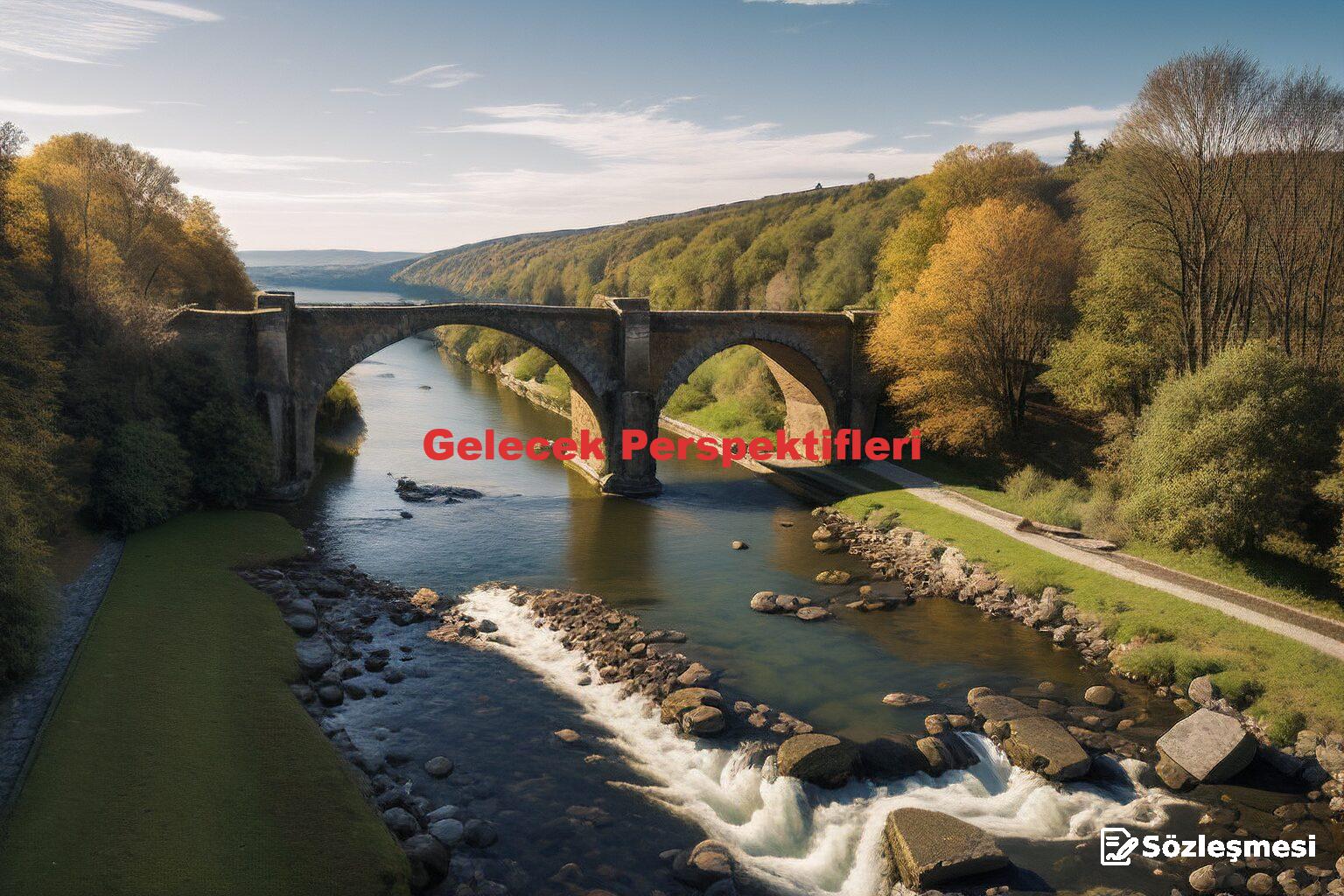 Gelecek Perspektifleri