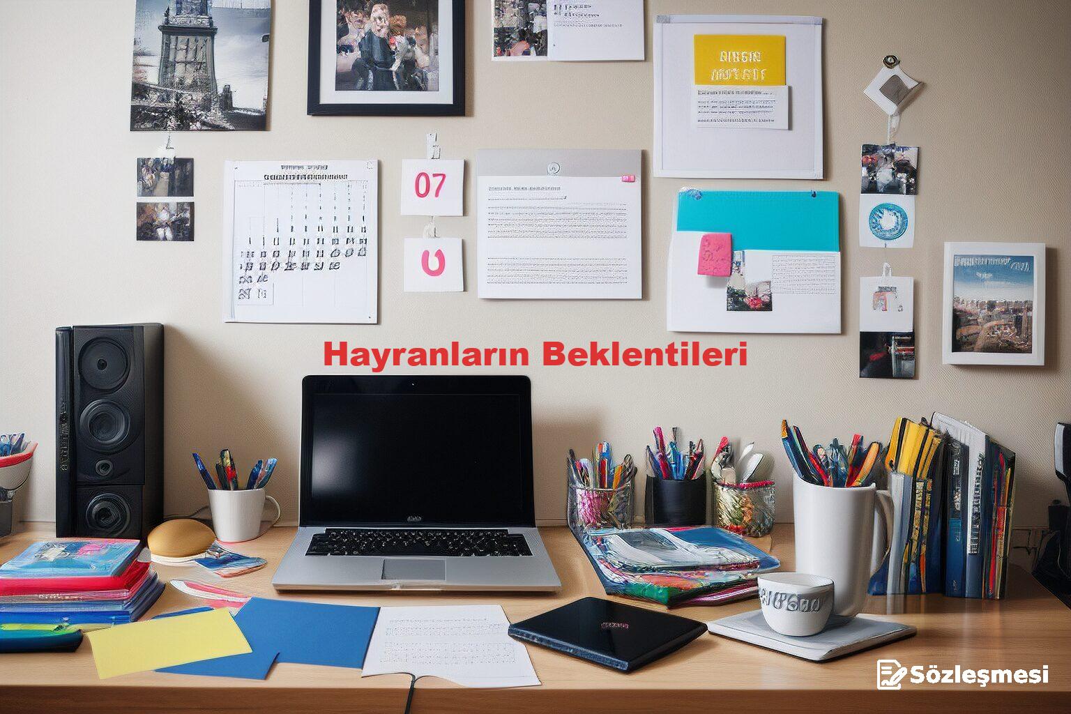 Hayranların Beklentileri