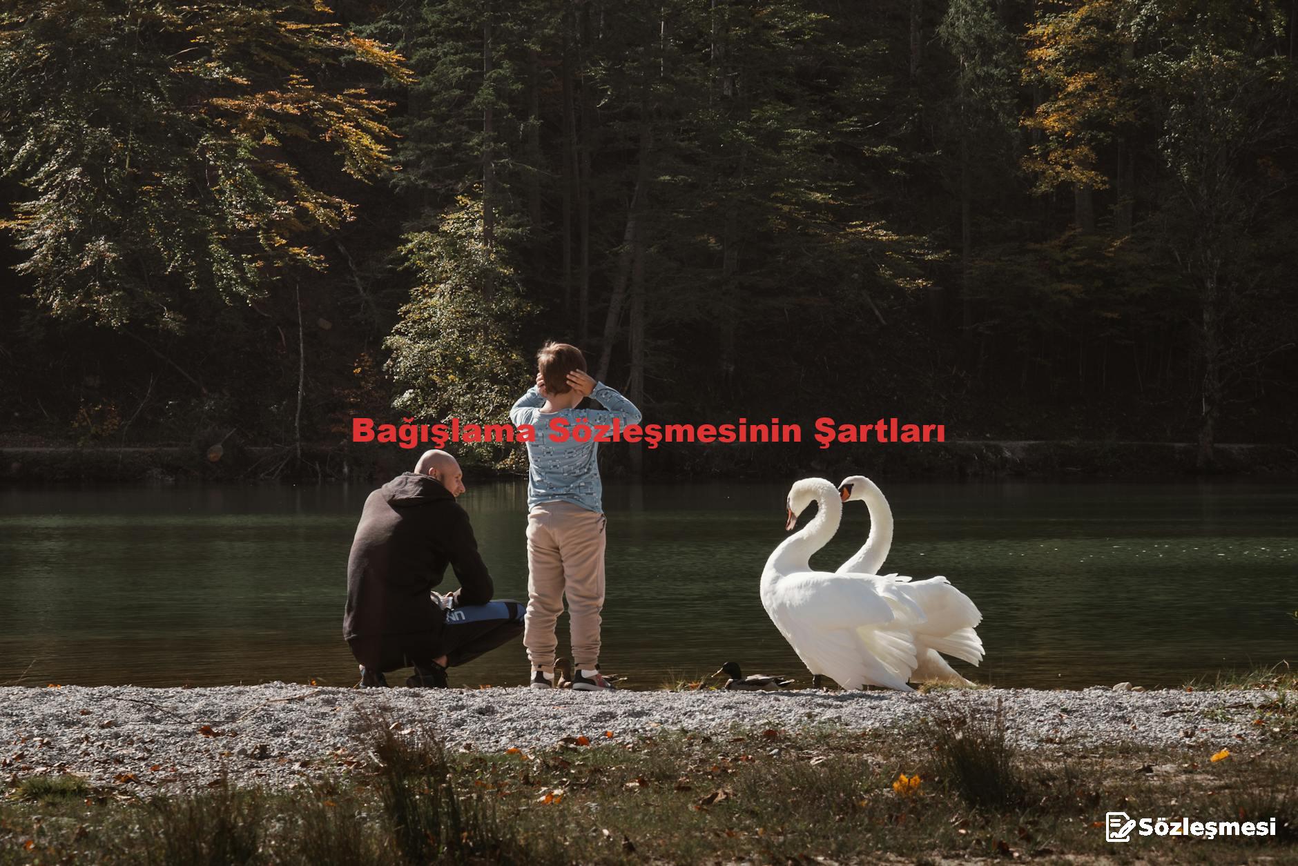Bağışlama Sözleşmesinin Şartları