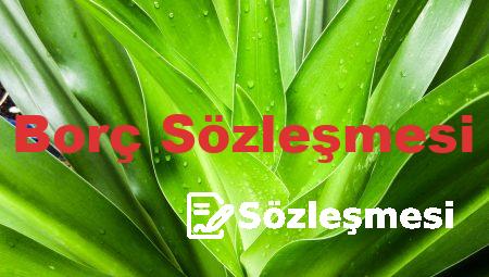Borç Sözleşmesi