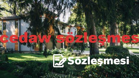  cedaw sözleşmesi 