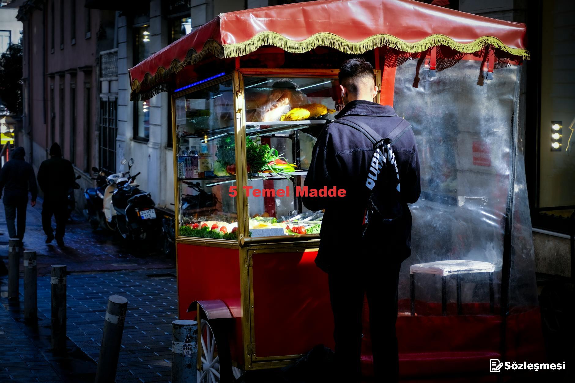 5 Temel Madde