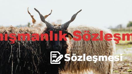 Danışmanlık Sözleşmesi