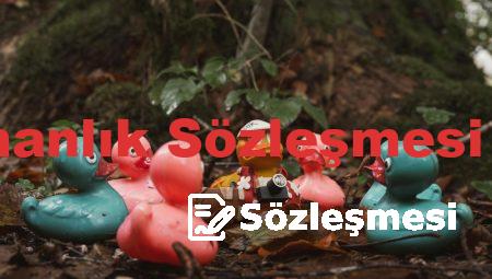 Danışmanlık Sözleşmesi Örneği
