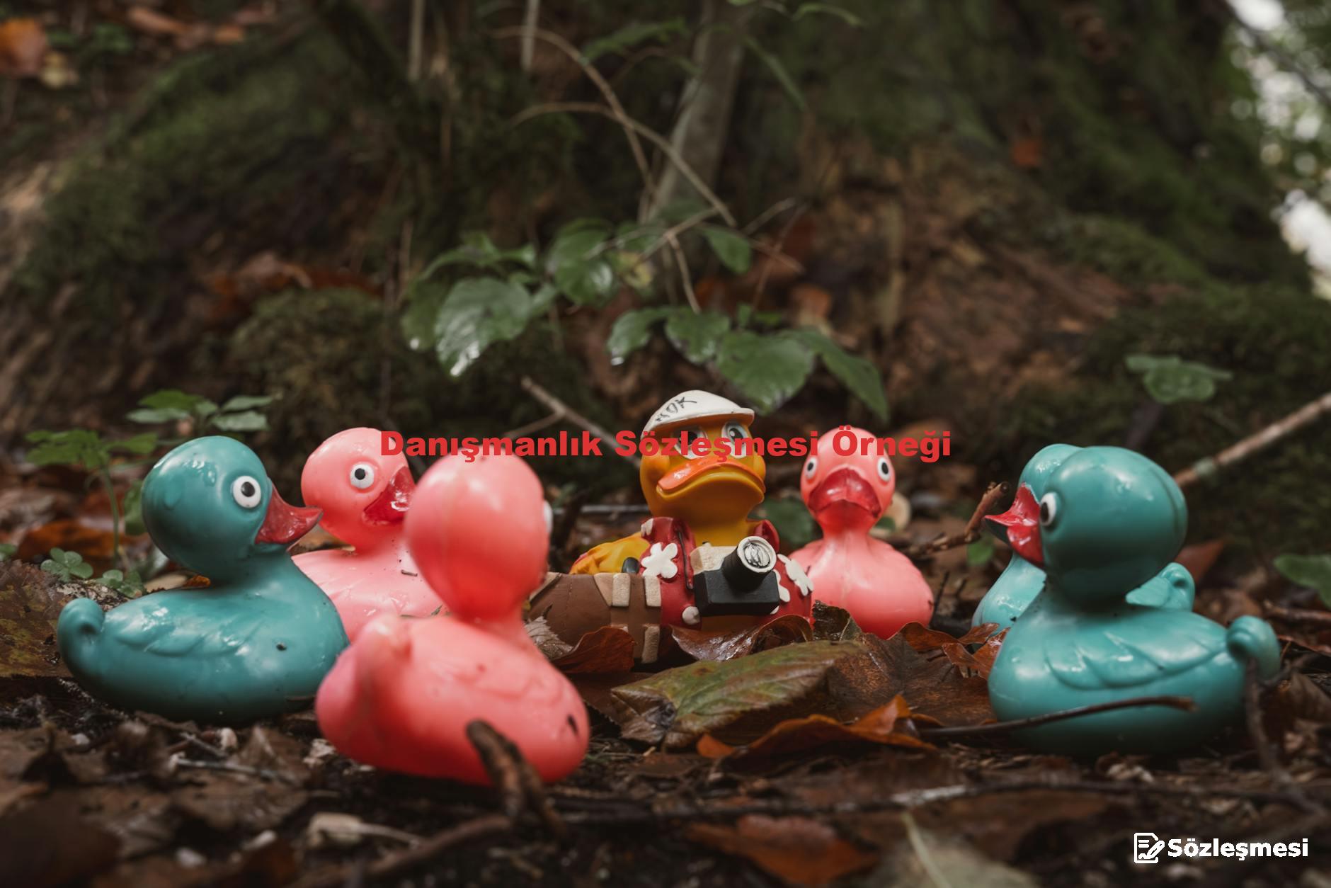 Danışmanlık Sözleşmesi Örneği