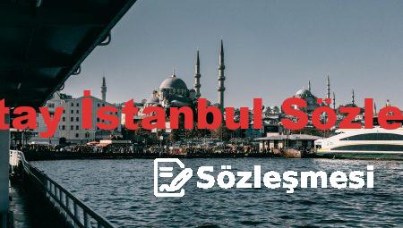 Danıştay İstanbul Sözleşmesi