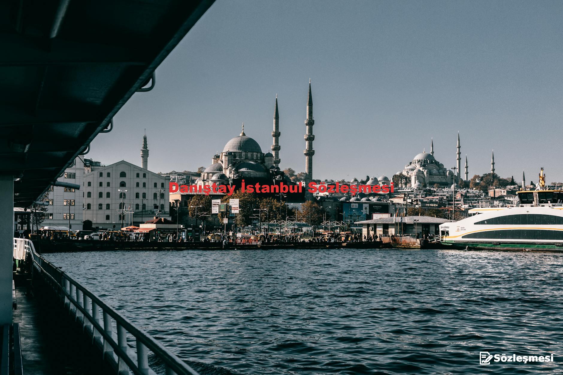 Danıştay İstanbul Sözleşmesi