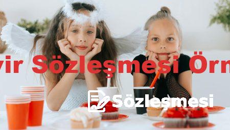 Devir Sözleşmesi Örneği