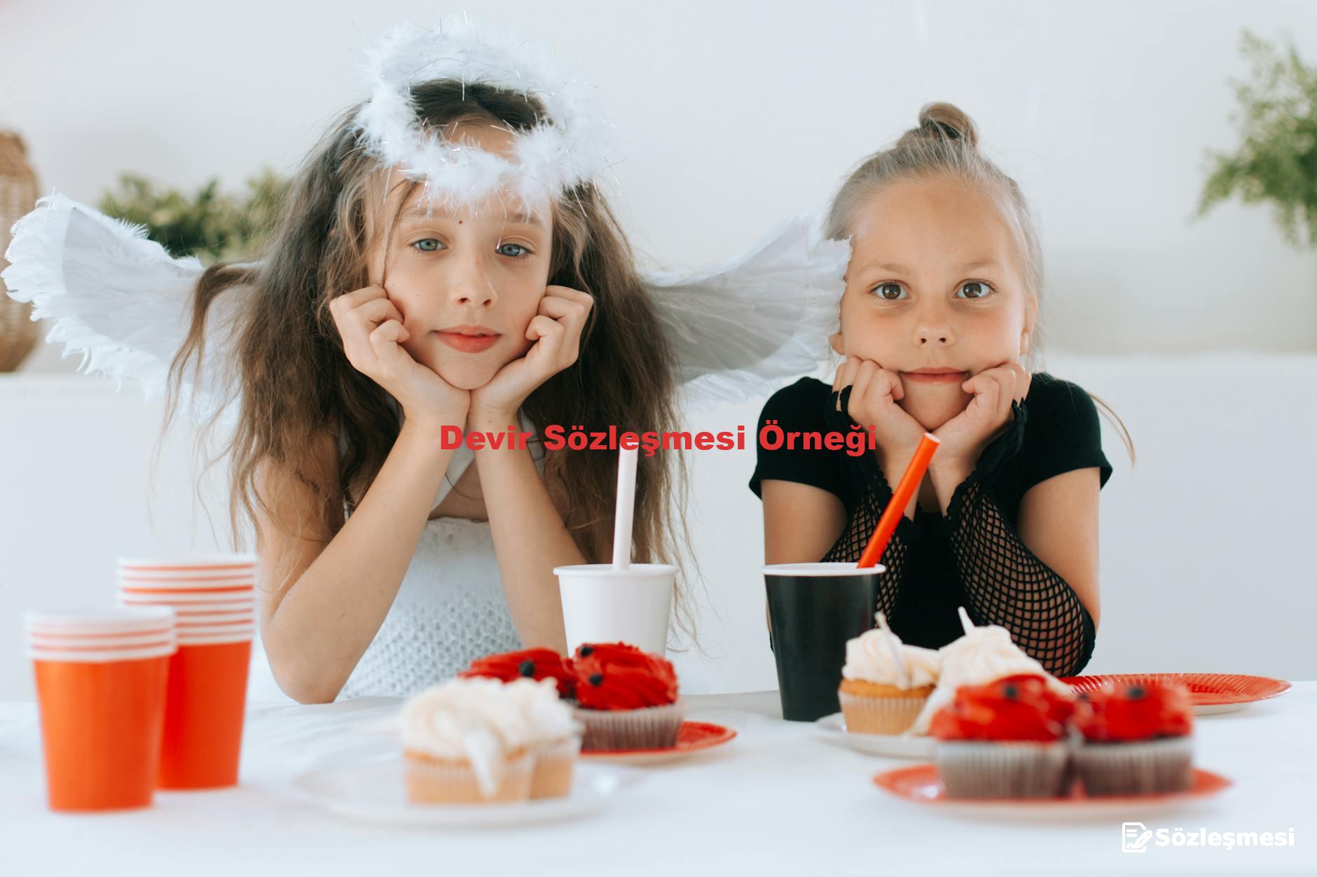 Devir Sözleşmesi Örneği