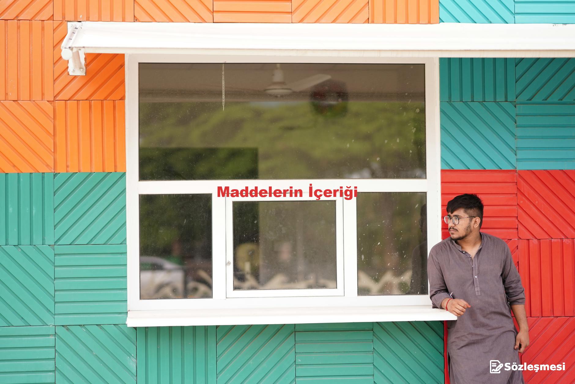 Maddelerin İçeriği