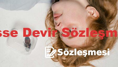 Hisse Devir Sözleşmesi