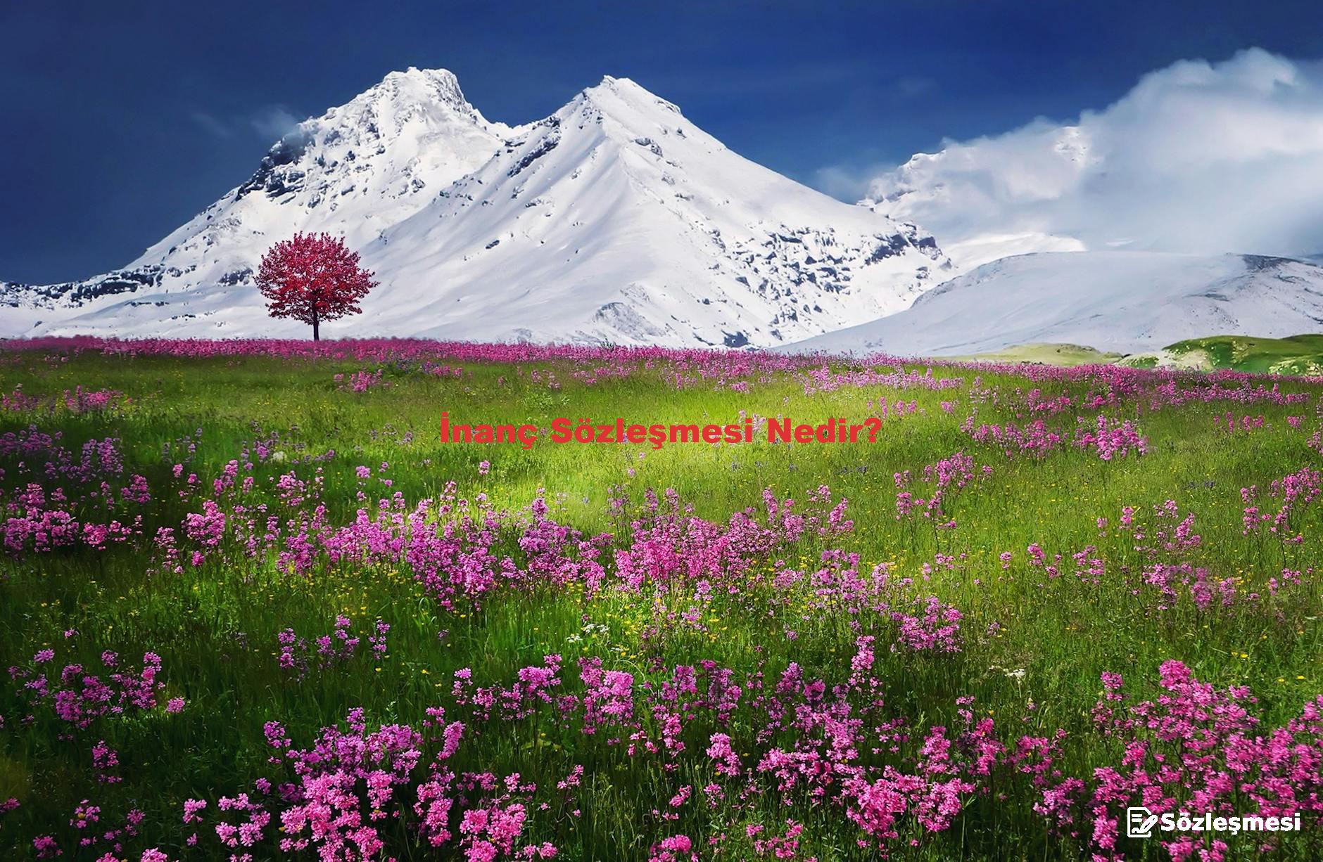 İnanç Sözleşmesi Nedir?