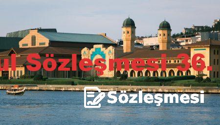İstanbul Sözleşmesi 36. Madde