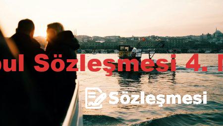 İstanbul Sözleşmesi 4. Madde