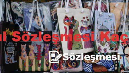 İstanbul Sözleşmesi Kaç Madde
