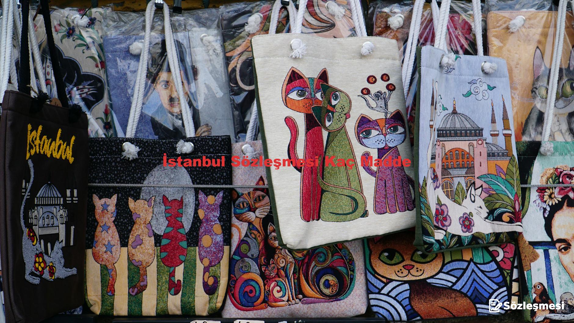 İstanbul Sözleşmesi Kaç Madde