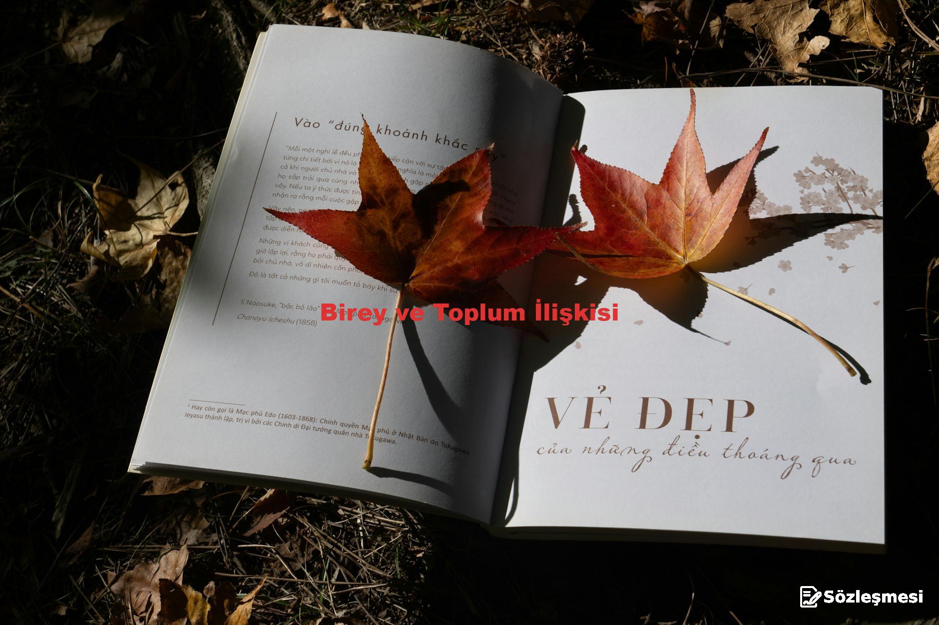 Birey ve Toplum İlişkisi