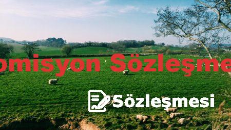 Komisyon Sözleşmesi