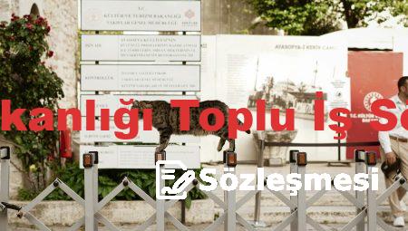Sağlık Bakanlığı Toplu İş Sözleşmesi