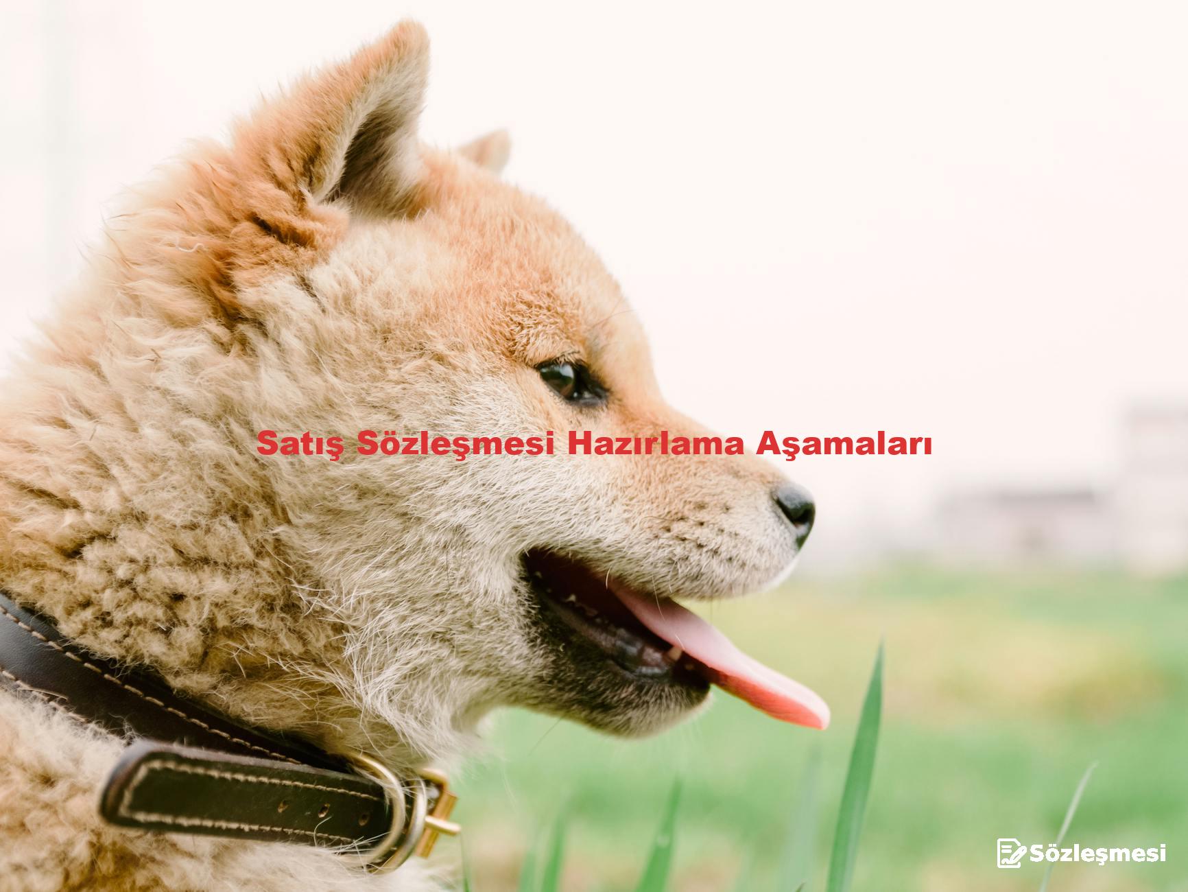 Satış Sözleşmesi Hazırlama Aşamaları