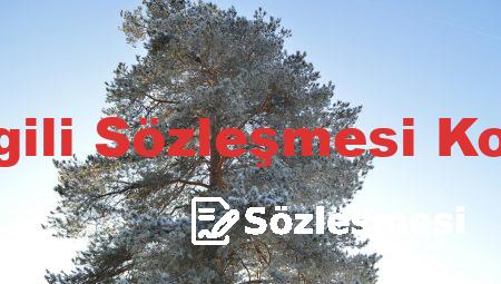 Sevgili Sözleşmesi Komik