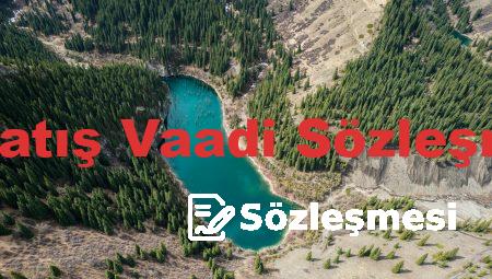 Taşınmaz Satış Vaadi Sözleşmesi Örneği