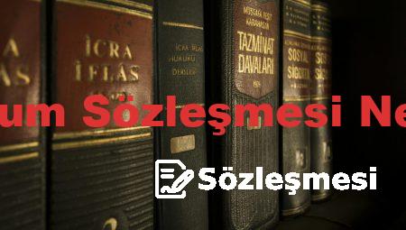 Toplum Sözleşmesi Nedir?