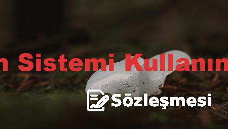 Yapı Denetim Sistemi Kullanım Sözleşmesi