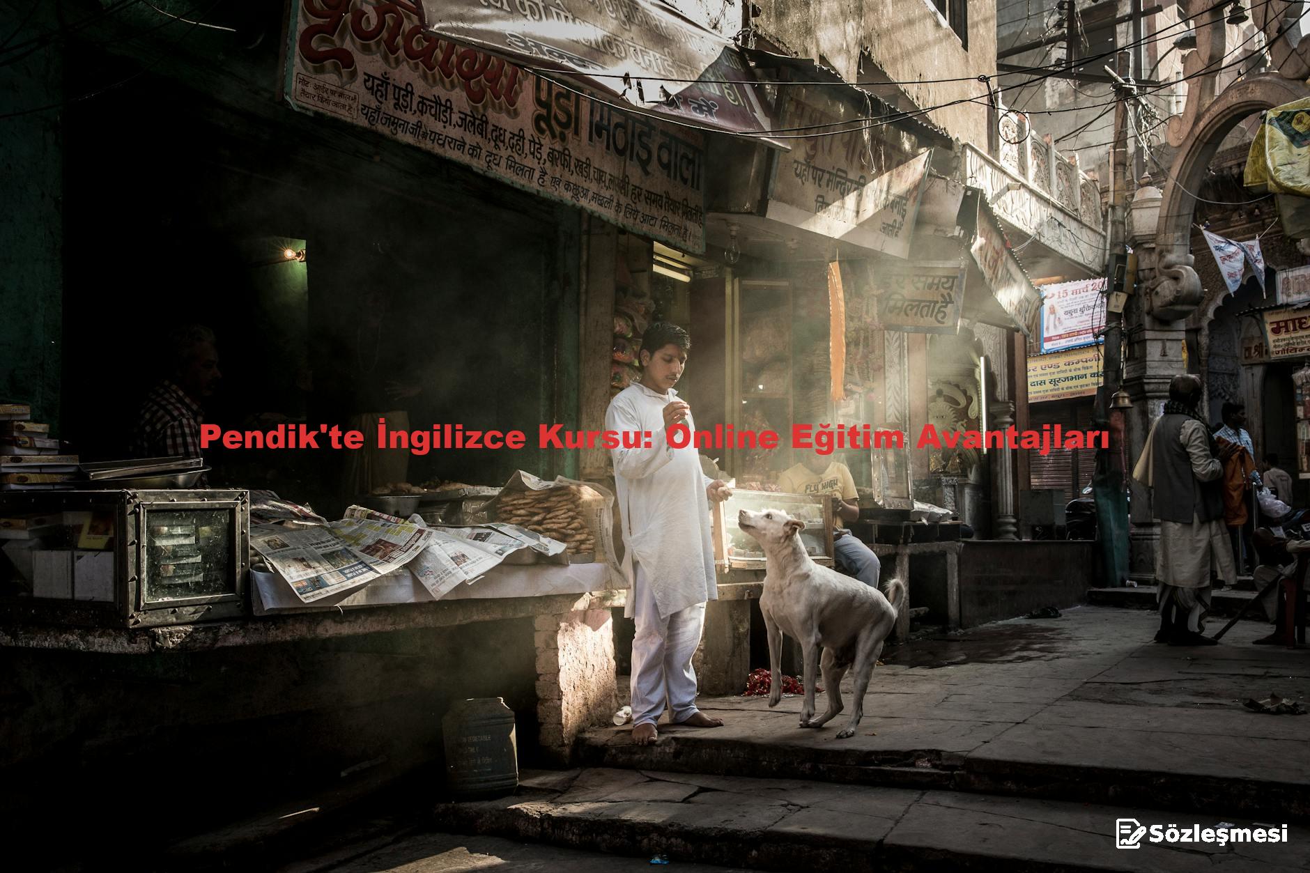 Pendik'te İngilizce Kursu: Online Eğitim Avantajları