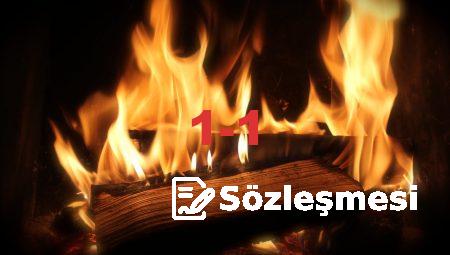 Modern Yaşam Alanlarına Uyum Sağlayan Şömine Teknolojileri