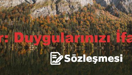 Almanca Renkler: Duygularınızı İfade Etmenin Yolu