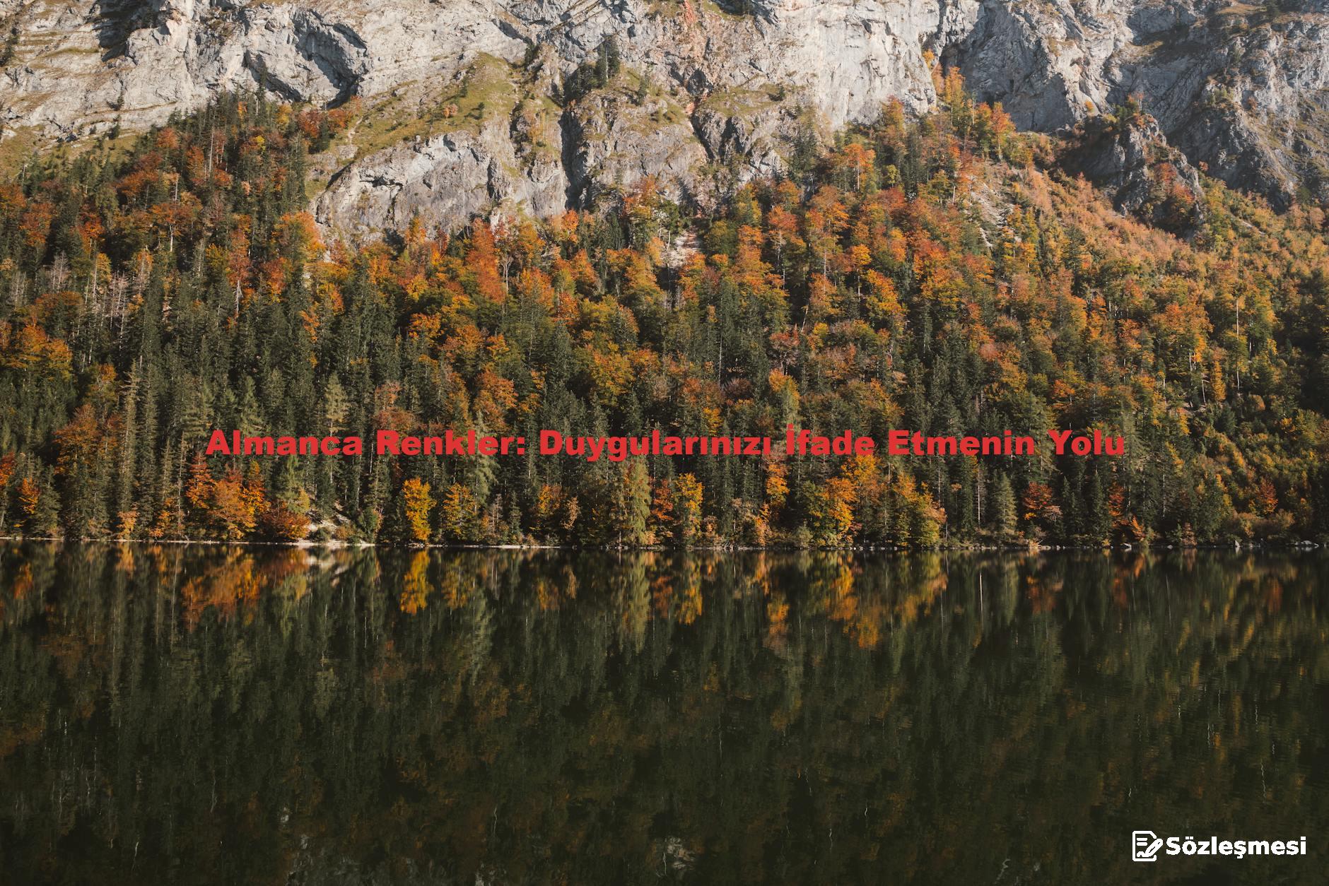 Almanca Renkler: Duygularınızı İfade Etmenin Yolu