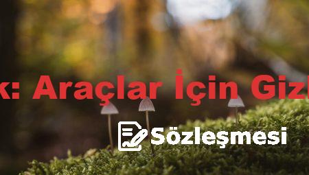 Yan Basamak: Araçlar İçin Gizli Gereksinim