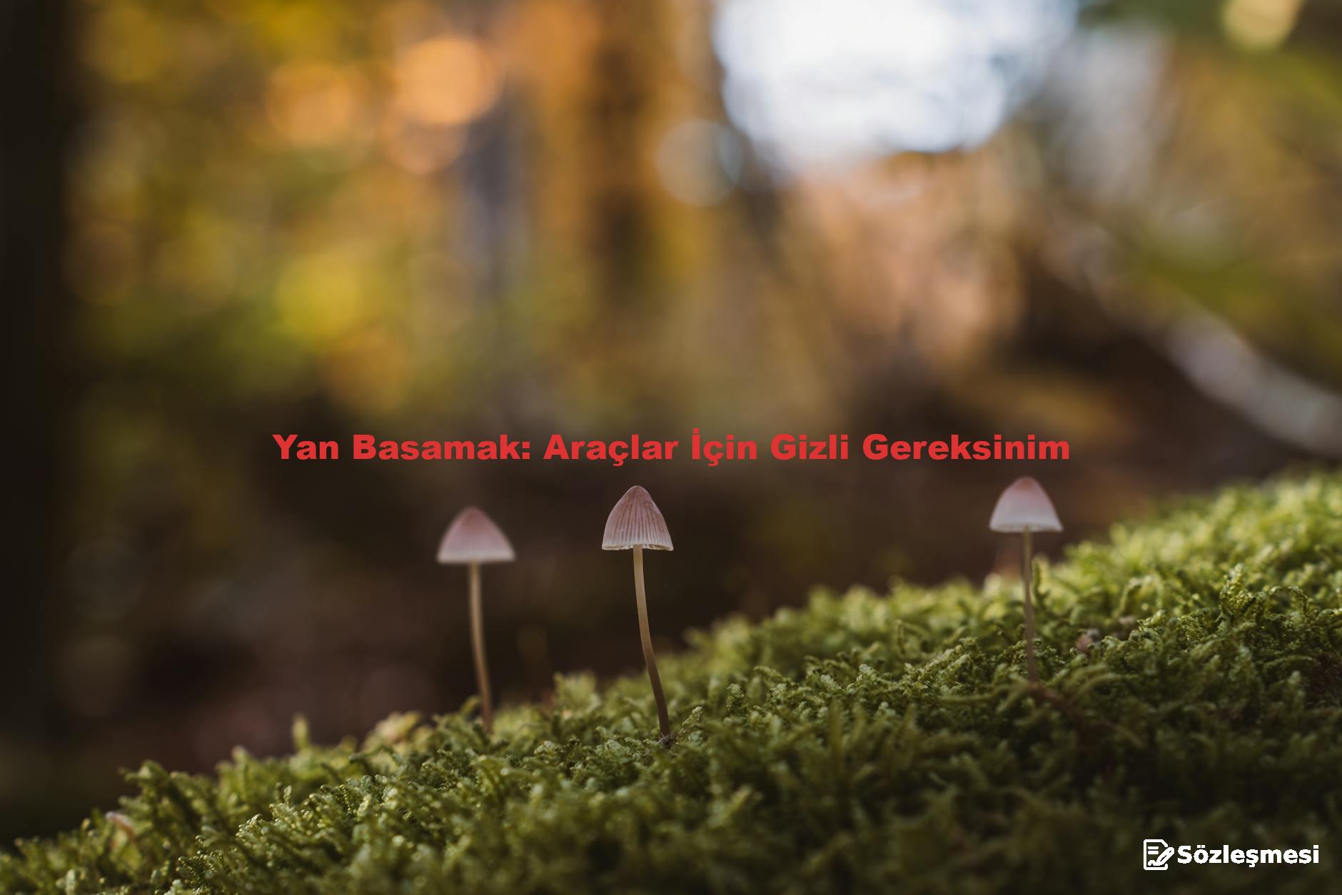 Yan Basamak: Araçlar İçin Gizli Gereksinim