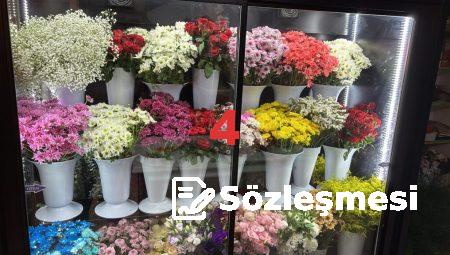 Online Çiçek Gönderiminde Floksia’nın Sırları